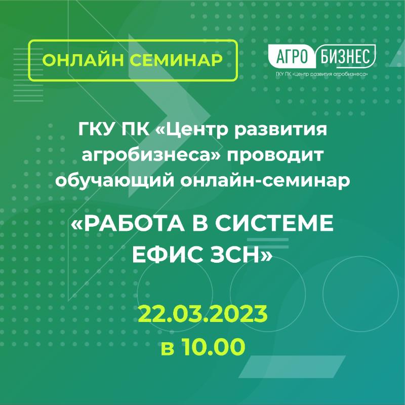Онлайн-семинар «Работа в системе ЕФИС ЗСН»