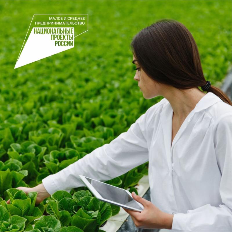 Прием документов на предоставление субсидий на реализацию мероприятий, направленных на оказание содействия сельскохозяйственным товаропроизводителям в обеспечении квалифицированными специалистами