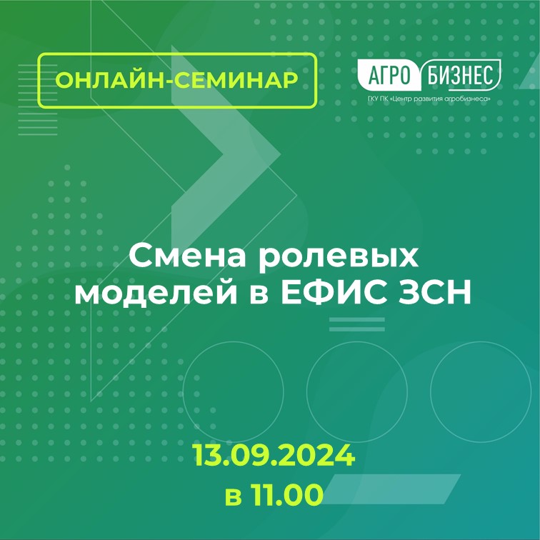 Онлайн-семинар на тему "Смена ролевых моделей в ЕФИС ЗСН"