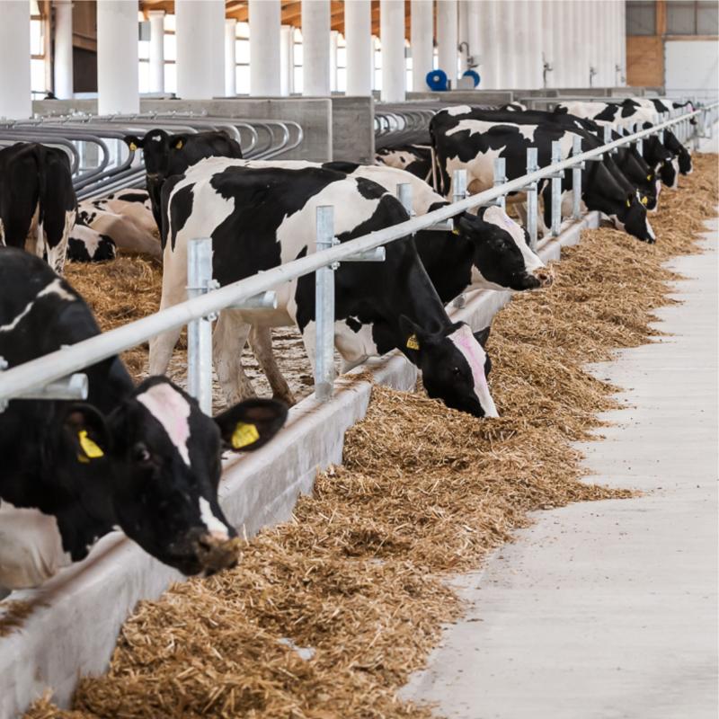 С 1 марта 2023 года вступил в силу Закон № 248-ФЗ «О побочных продуктах животноводства»